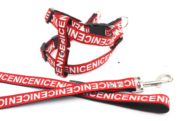 Pet Leash Dog Collar Dog Leash - Image 5