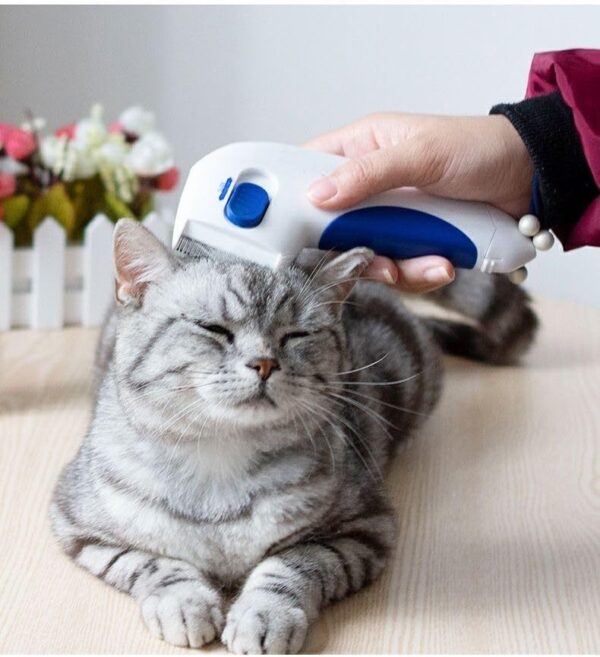 Pet Combs Electric Pet Combs Dog Cat Comb Cat Hair Brush Suitable For Electric Beauty Combs For For Long And Short Hair Cat Dog Puppy Bunny - Image 5