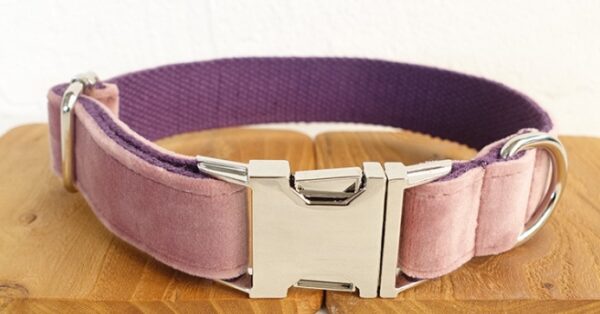 Dog leash pet collar - Image 2