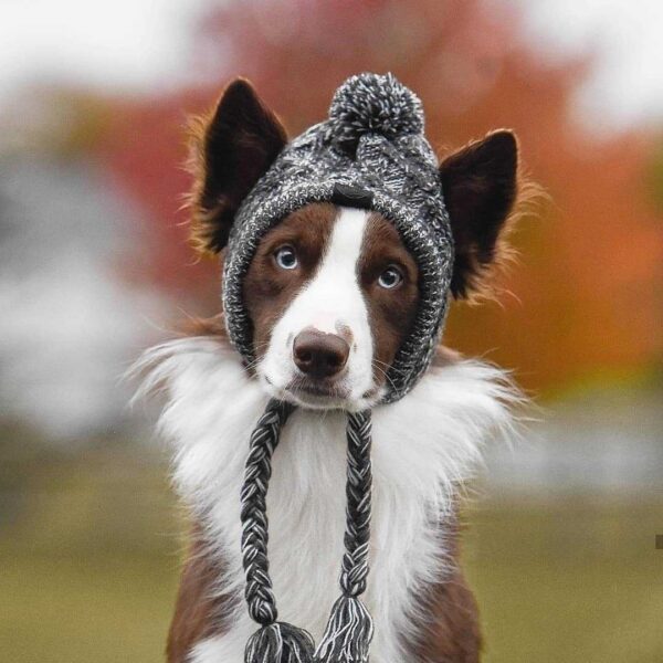 Winter Fashion Dog Hat Windproof Fluffy Knitted Polar Pom Hat - Image 2