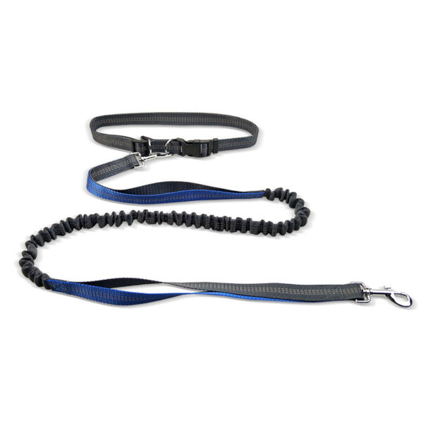 Dog Walking Belt Detachable Section Of Telescopic Shockproof Dual-purpose Traction Rope - Image 3