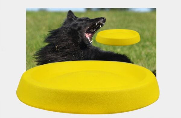 Pet Dogs Throwing Plastic Toys - Image 2