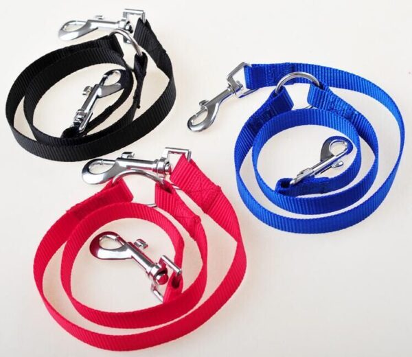 One For Two Dog Leashes, Small Dog Leashes, Two-Headed Pet Leashes, A Rope For Two Dogs, A Dog Leash - Image 2