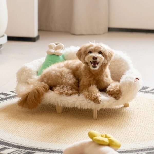 Wooden Pet Bed Kennel Dogs And Cats Bed Luxury Cat Bed Pet Safety Bed Bed Small Size Medium Dog - Image 2