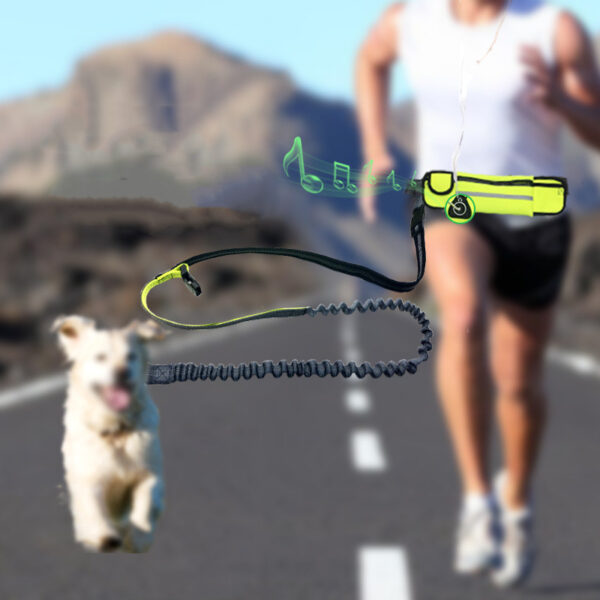 Pet Supplies Waterproof Waist Bag Sports Running Leash