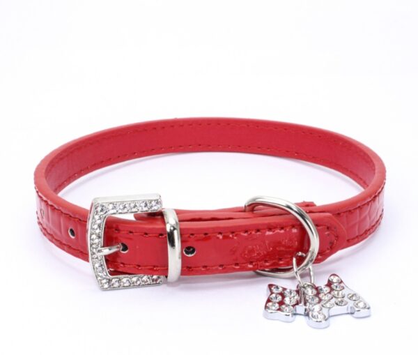 pattern puppy charm pet collar dog chain dog ring - Image 3