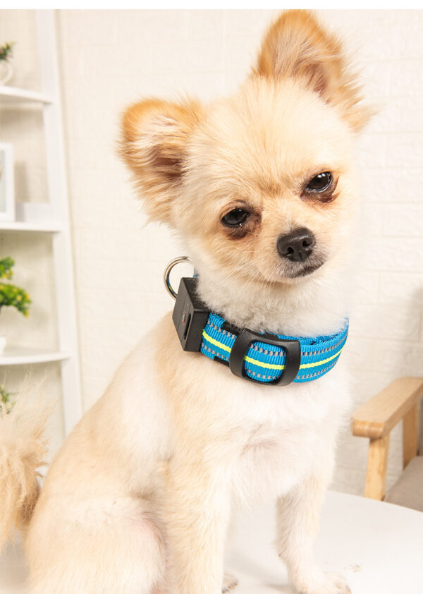 Pet dog glowing collar - Image 2