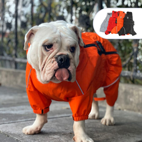 Pet Four-legged Dog Outdoor Clothing Raincoat - Image 10