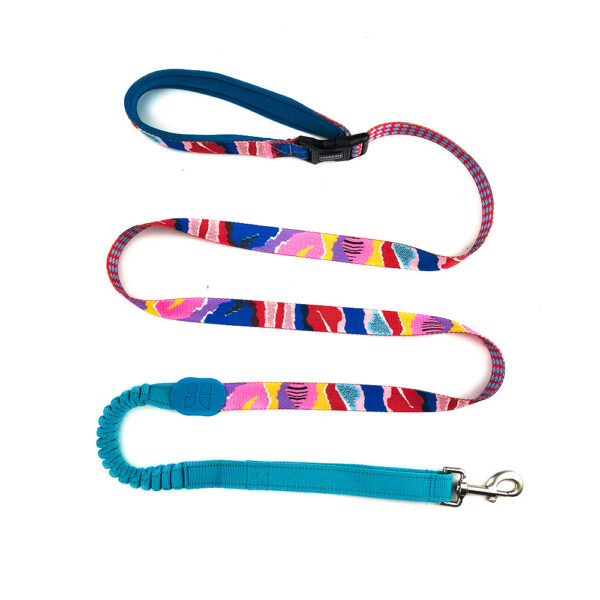 Multifunctional Buffer Traction Rope Pet Out Traction Walking Dog Rope - Image 6