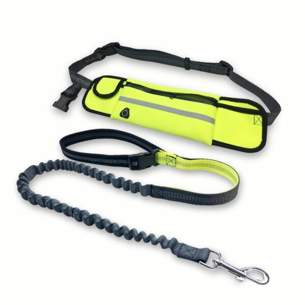 Pet Supplies Waterproof Waist Bag Sports Running Leash - Image 3