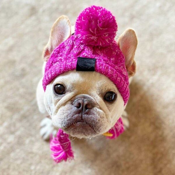 Fur Ball Warm And Windproof Fluffy Ball Knitting Method Dog Fighting Hat - Image 2