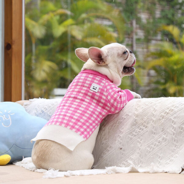 New Pet Clothing Products Keep Warm - Image 2