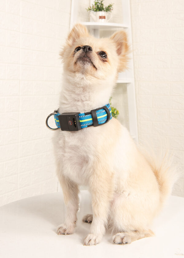 Pet dog glowing collar - Image 3