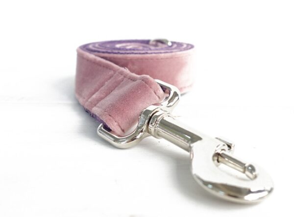 Dog leash pet collar - Image 3