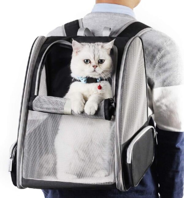 Innovative Traveler Bubble Backpack Pet Carriers For Cats And Dogs - Image 6