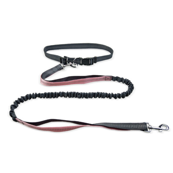 Dog Walking Belt Detachable Section Of Telescopic Shockproof Dual-purpose Traction Rope - Image 5