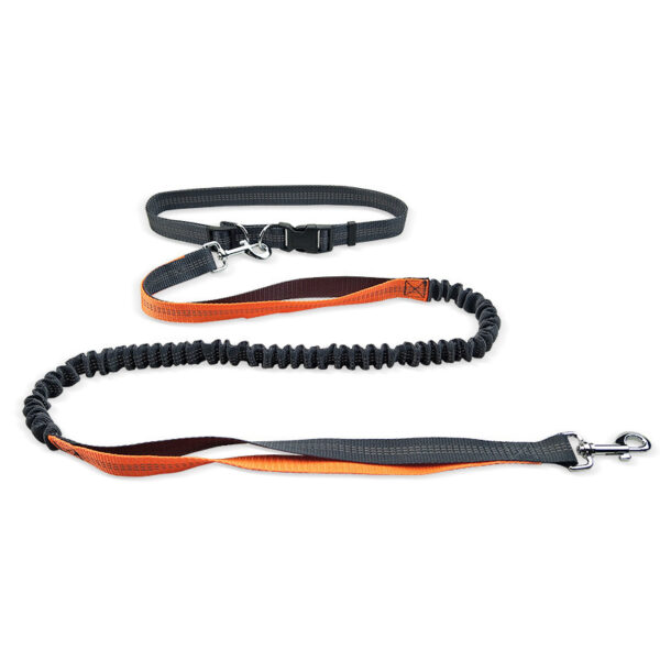 Dog Walking Belt Detachable Section Of Telescopic Shockproof Dual-purpose Traction Rope - Image 4