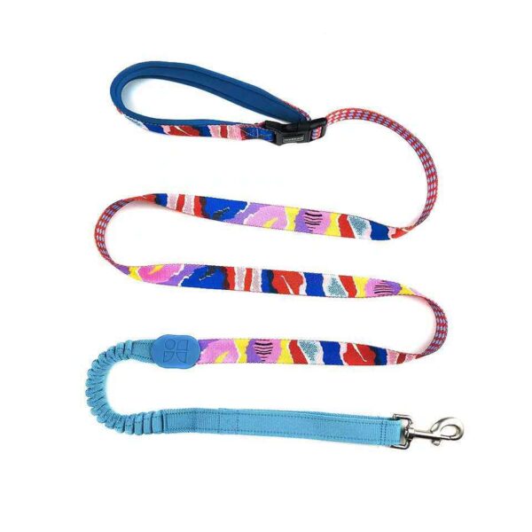 Multifunctional Buffer Traction Rope Pet Out Traction Walking Dog Rope - Image 2