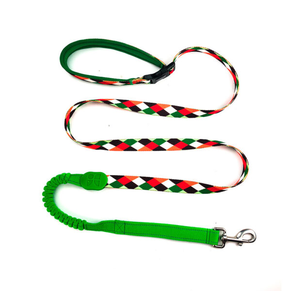 Multifunctional Buffer Traction Rope Pet Out Traction Walking Dog Rope - Image 5