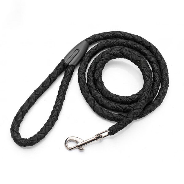 Easy To Control Non Retractable Nylon Braided Dog Leash - Image 3