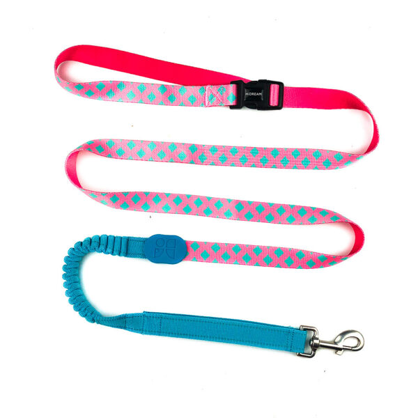 Multifunctional Buffer Traction Rope Pet Out Traction Walking Dog Rope - Image 4