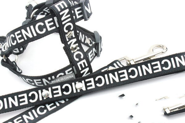 Pet Leash Dog Collar Dog Leash - Image 2