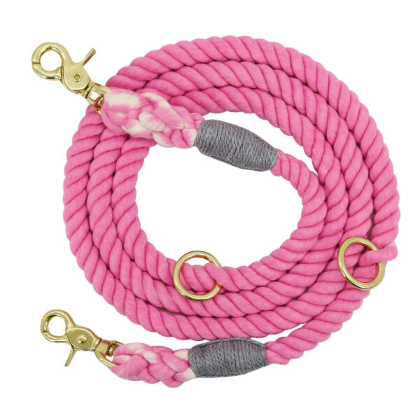 Gradient Color Dog Collars Accessories Leashes Rope Metal Chain Collar Strap Pet Outdoor Walking Training Long Traction Rope - Image 4