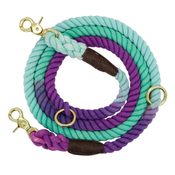 Gradient Color Dog Collars Accessories Leashes Rope Metal Chain Collar Strap Pet Outdoor Walking Training Long Traction Rope - Image 2