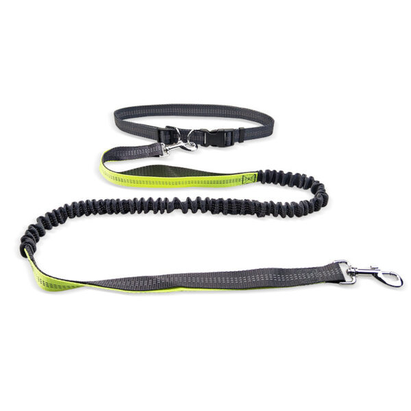 Dog Walking Belt Detachable Section Of Telescopic Shockproof Dual-purpose Traction Rope - Image 2