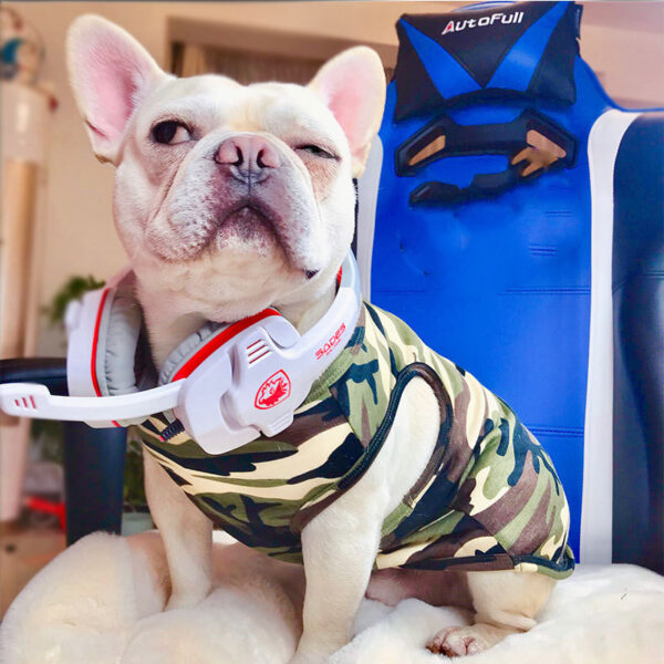 Pet Summer Clothing Fashion Personality T-shirt - Image 5