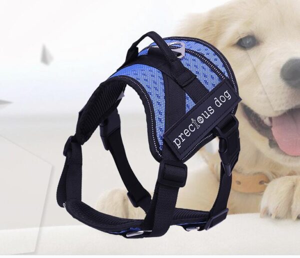 Adjustable dog traction chest and back - Image 5