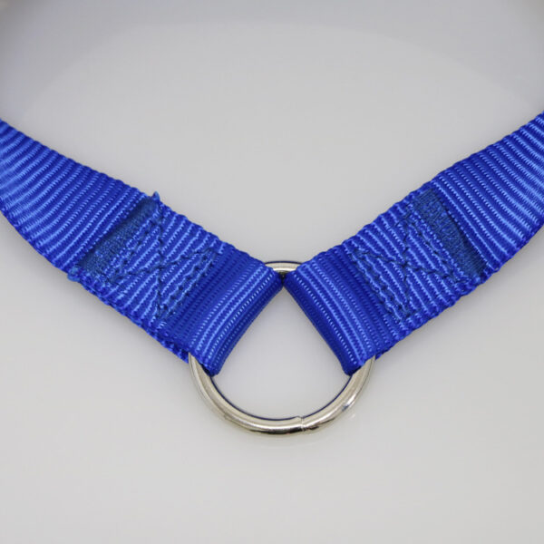 Domestic Double Headed Pet Traction Rope - Image 7