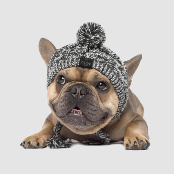 Winter Fashion Dog Hat Windproof Fluffy Knitted Polar Pom Hat - Image 5