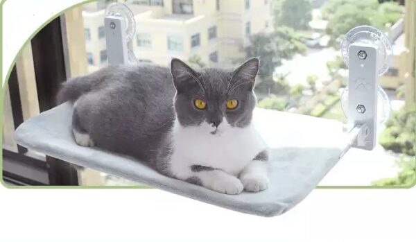 Cat Suction Cup Window Glass Hammock Pet Cat Pets Products - Image 5