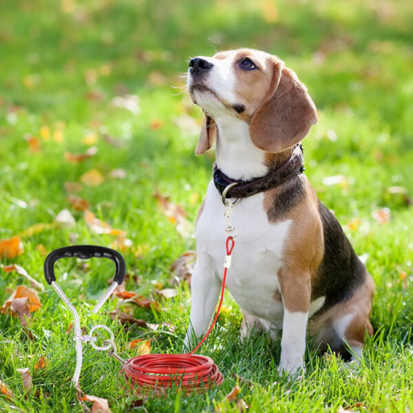 Double Hook Wire Rope Dog Leash - Image 6