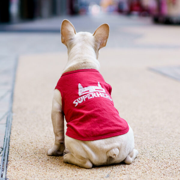 Pet Summer Clothing Fashion Personality T-shirt - Image 3