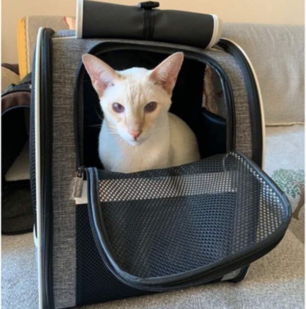 Innovative Traveler Bubble Backpack Pet Carriers For Cats And Dogs - Image 9