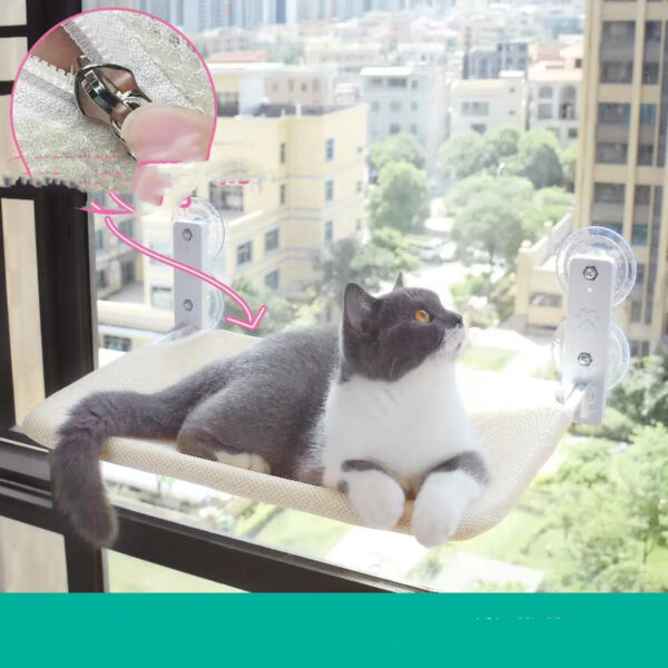 Cat Suction Cup Window Glass Hammock Pet Cat Pets Products - Image 3