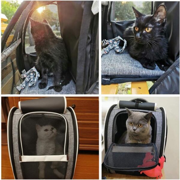 Innovative Traveler Bubble Backpack Pet Carriers For Cats And Dogs - Image 10