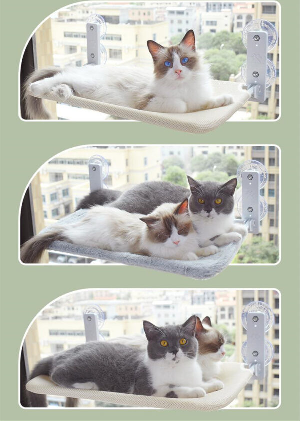 Cat Suction Cup Window Glass Hammock Pet Cat Pets Products - Image 9