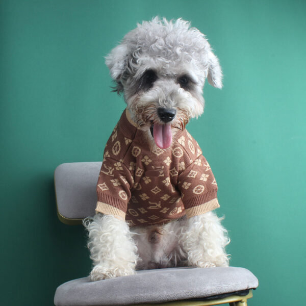 Pet Autumn And Winter Clothing - Image 3