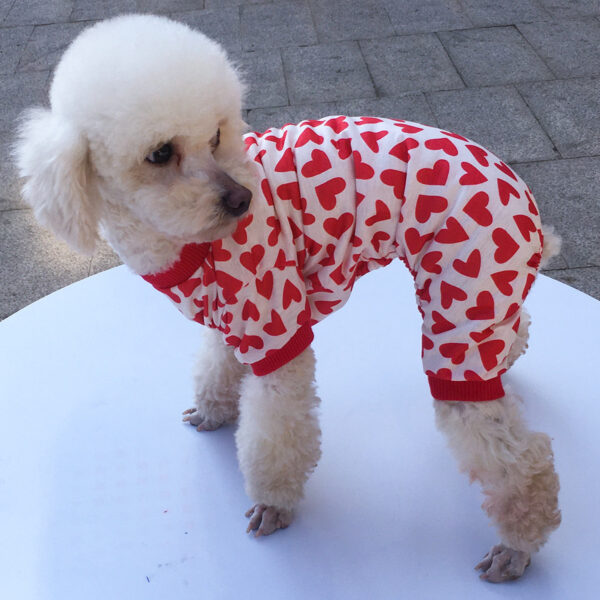Pet Dog Four-legged Clothing - Image 2