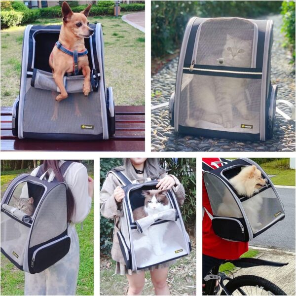 Innovative Traveler Bubble Backpack Pet Carriers For Cats And Dogs - Image 7