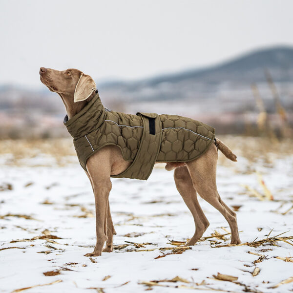 Winter Pet Clothing Thickened Dog - Image 4