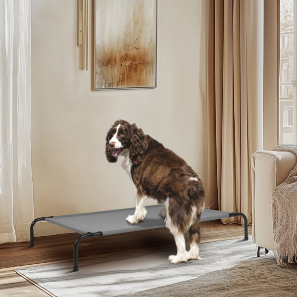Pet Beds - Image 9
