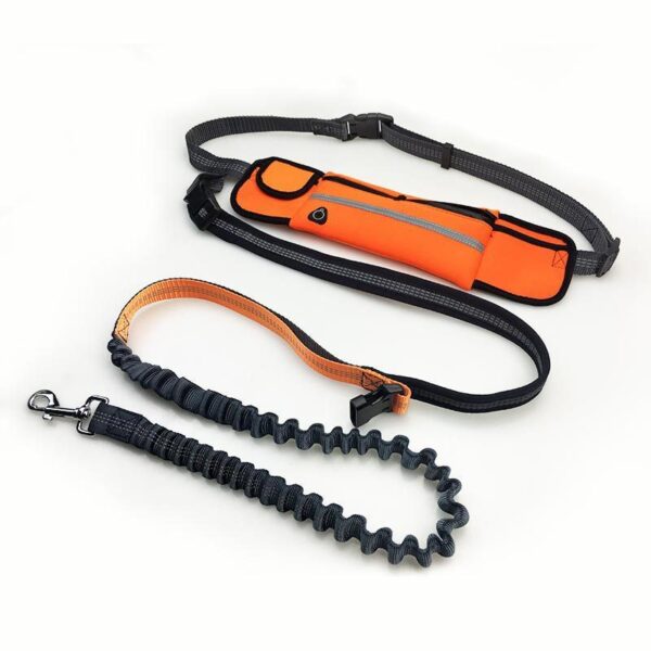 Pet Supplies Waterproof Waist Bag Sports Running Leash - Image 2