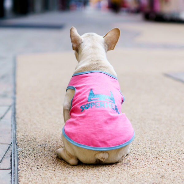 Pet Summer Clothing Fashion Personality T-shirt - Image 6