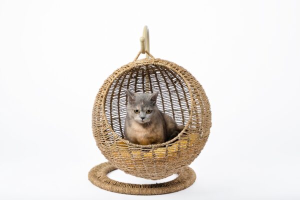Woven Round Cat Litter Pet Bed Hanging Basket - Image 7