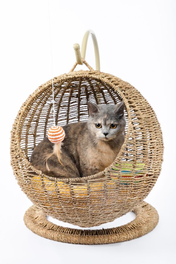 Woven Round Cat Litter Pet Bed Hanging Basket - Image 4