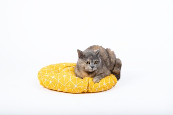 Woven Round Cat Litter Pet Bed Hanging Basket - Image 2